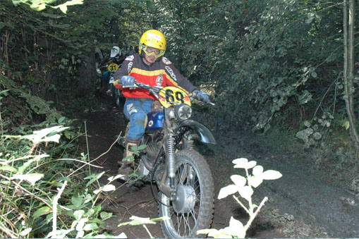 2005-Hamm 2005-Hamm